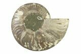 Cut & Polished Ammonite Fossil (Half) - Madagascar #341218-1